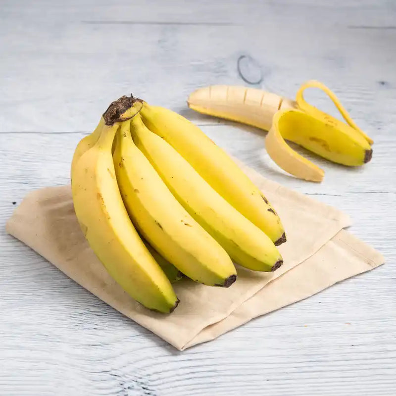 Banana Robusta