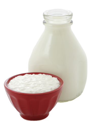 Fresh Milk & Curd