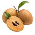 Sapota