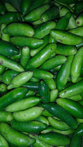Dondakaya