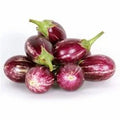 Brinjal White