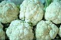 Cauliflower