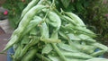 Chikudukaya