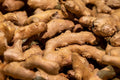 Ginger