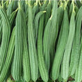 Beerakaya